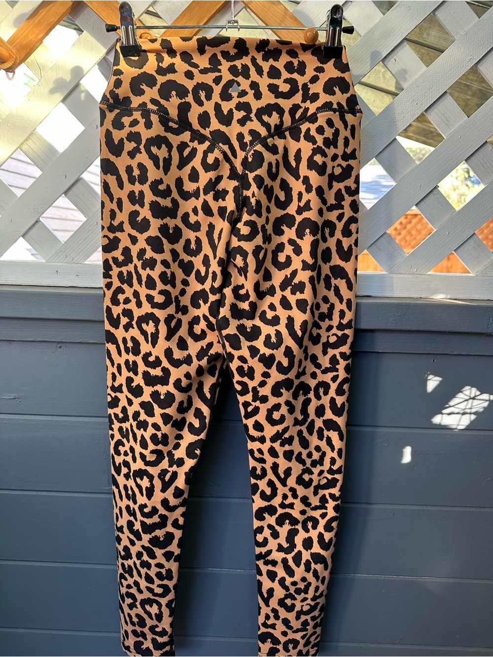 Vitality Leopard Print High-Waist Leggings - Black & Tan